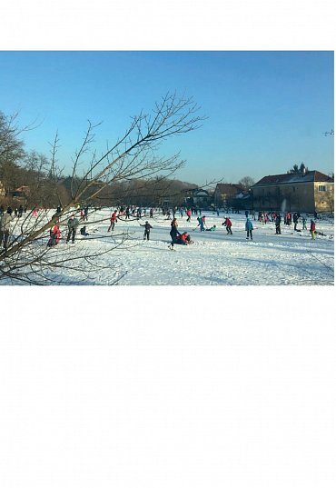 Náhled Terapie sdílením