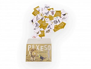 Papírové pexeso - Z exotické říše