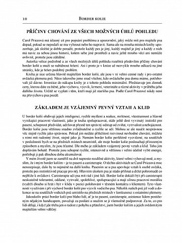 Náhled Border kolie od A do Z