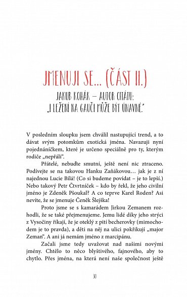 Náhled Svět podle Koháka - Kůly v plotě 0,5