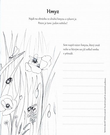 Náhled Montessori - aktivity pro děti