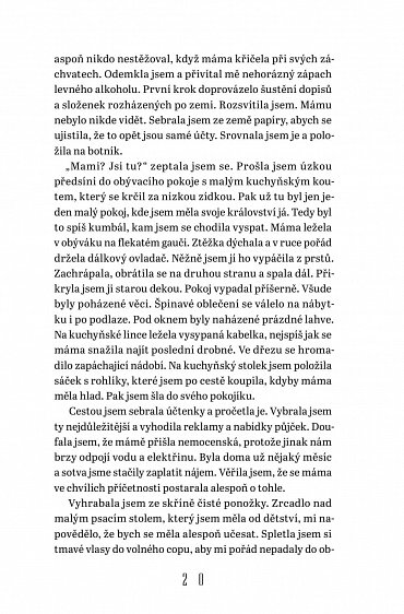 Náhled Střípky času