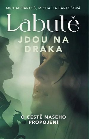 Labutě  jdou na draka