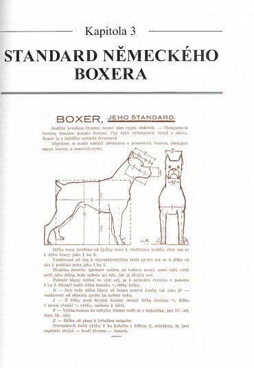 Náhled Německý boxer - Úplný přehled plemene