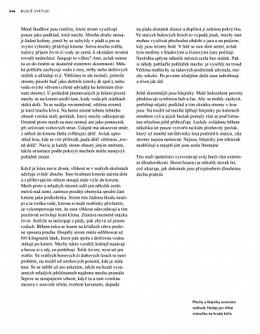 Náhled Tajný život stromů - Co cítí a jak komunikují