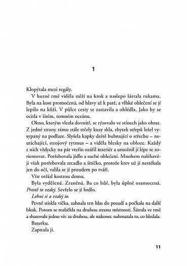 Náhled Ztracené střípky