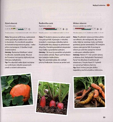 Náhled Zábava na zahradě - Rady pro začátečnice