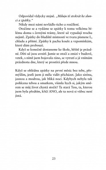 Náhled Dokonalá zrada