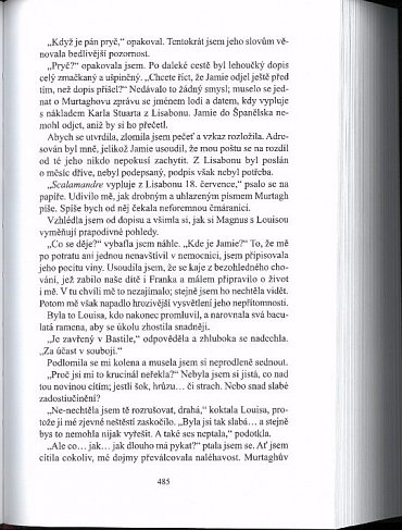 Náhled Vážka v jantaru