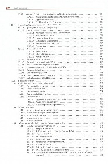 Náhled Moderní porodnictví