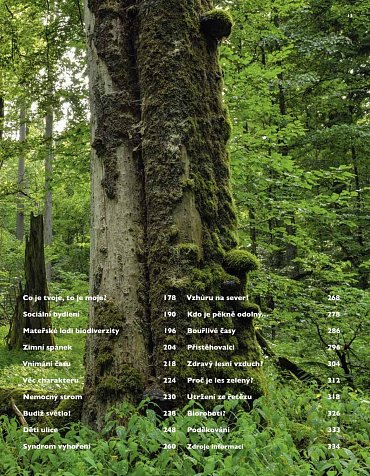 Náhled Tajný život stromů - Co cítí a jak komunikují