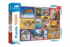 Trefl Puzzle Animal Planet: Divoká příroda/1000 dílků