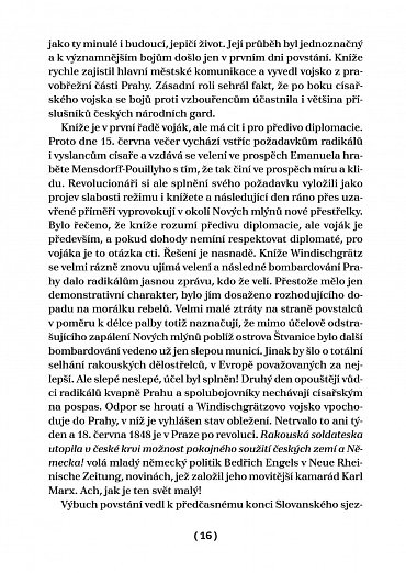 Náhled Lví silou, vzletem sokolím