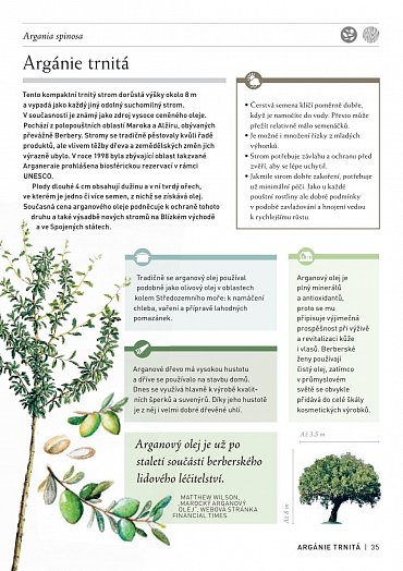 Náhled Pozoruhodný svět stromů