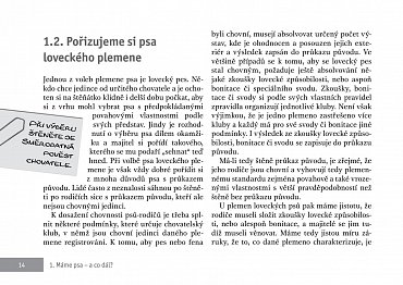 Náhled Výcvik psů loveckých plemen