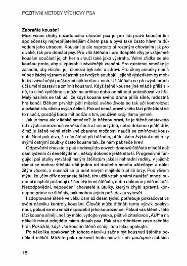 Náhled Pozitivní metody výchovy psa