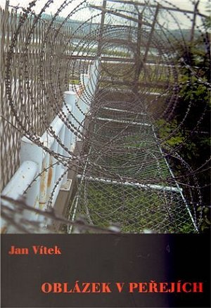 Oblázek v peřejích