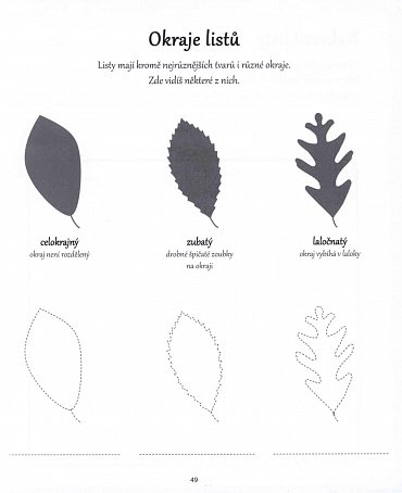 Náhled Montessori - aktivity pro děti