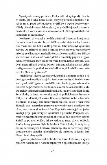 Náhled Půl žlutého slunce, 2.  vydání