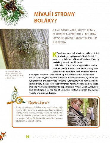 Náhled Slyšíš, jak mluví stromy? - Co všechno můžeš objevit v lese