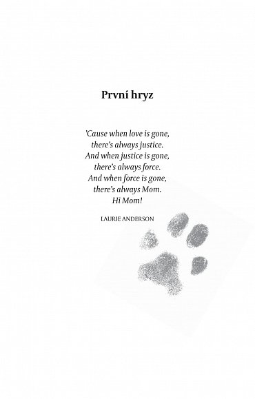 Náhled Hodní psi k jižnímu pólu nedojdou