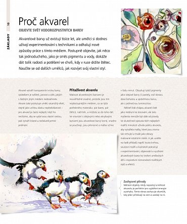 Náhled Techniky akvarelu