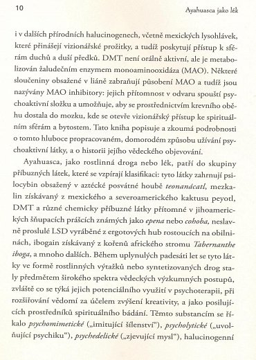Náhled Ayahuasca jako lék - zkušenosti a léčení