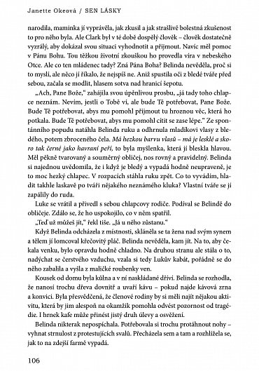 Náhled Sen lásky
