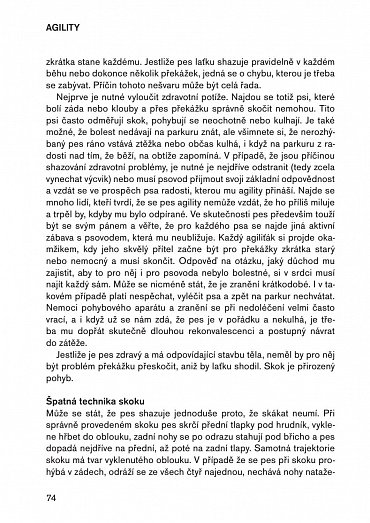 Náhled Agility pro pokročilé