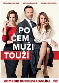 Po čem muži touží - DVD