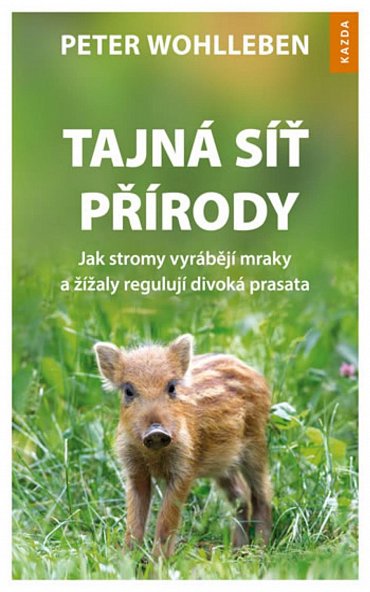 Náhled Tajná síť přírody - Jak stromy vyrábějí mraky a žížaly regulují divoká prasata