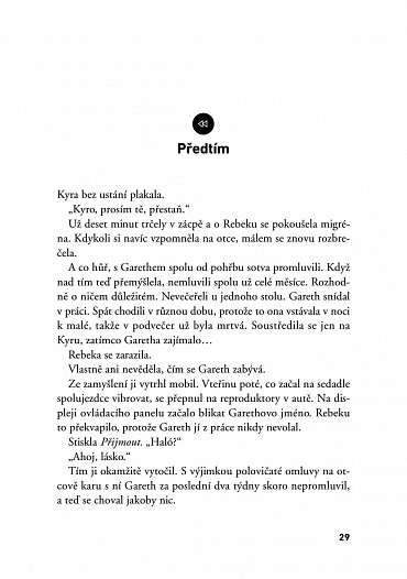 Náhled Ztracené střípky