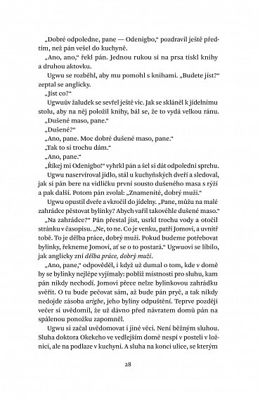 Náhled Půl žlutého slunce, 2.  vydání