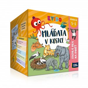 Kvído Mláďata v kostce
