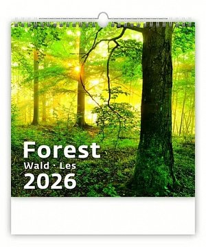 Kalendář nástěnný 2026 - Forest/Wald/Les