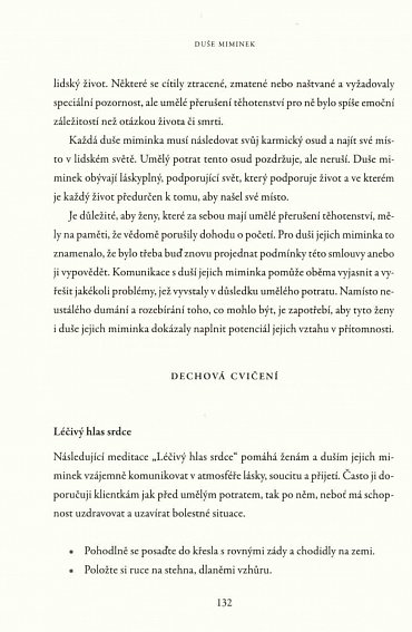 Náhled Duše miminek - Jak komunikovat se svým budoucím dítětem