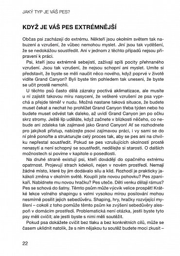 Náhled Jaký typ je váš pes? - Přizpůsobte tréninkové metody povaze svého psa