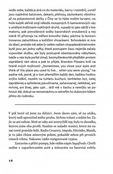 Náhled Sentimentální román