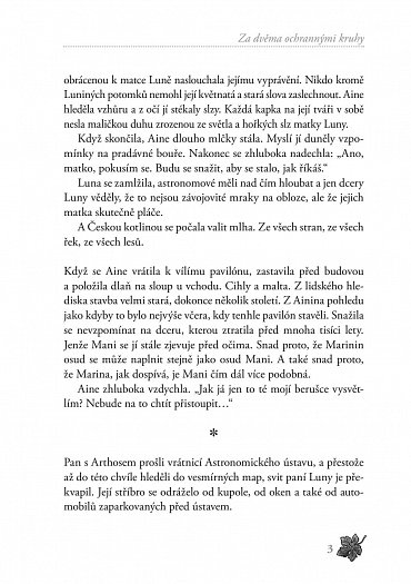 Náhled Rafaelova škola 5 - Vlasy dryád