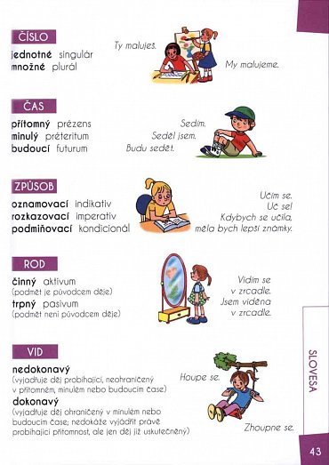 Náhled Čeština - barevná gramatika