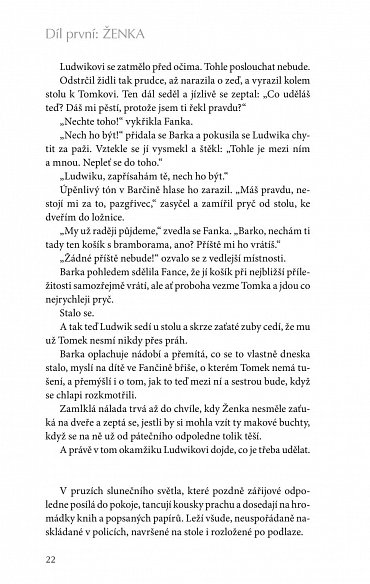 Náhled Šikmý kostel 2 - Románová kronika ztraceného města, léta 1921-1945
