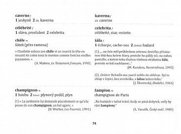 Náhled Zrádná slova ve francouzštině