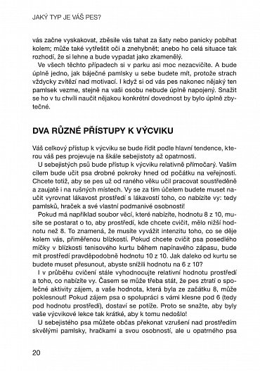 Náhled Jaký typ je váš pes? - Přizpůsobte tréninkové metody povaze svého psa