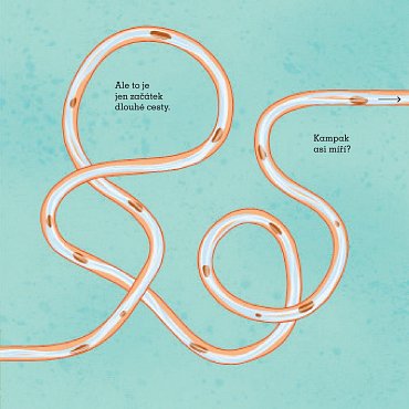 Náhled Kam odešlo mé hovínko?