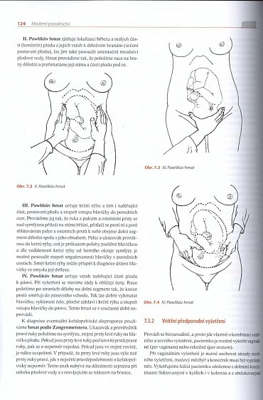 Náhled Moderní porodnictví