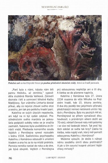 Náhled Labyrint záhad - Největší tajemství Čech, Moravy a Slezska