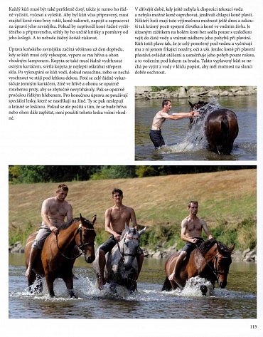 Náhled Koně pro krále