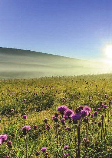 Náhled Nejhezčí dobrodružné výpravy po Česku a Slovensku
