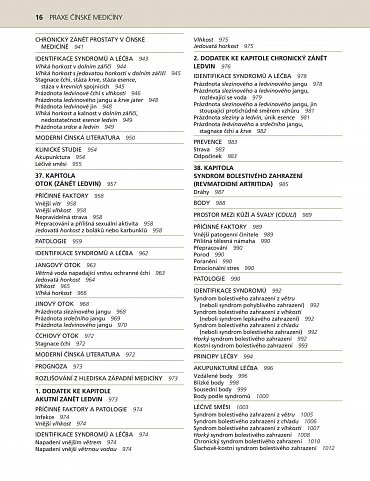 Náhled Praxe čínské medicíny - Léčba onemocnění pomocí akupunktury a čínských léčivých směsí