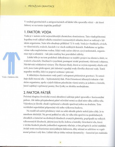 Náhled Blackroll - Posilování, strečink, automasáž s pěnovým válcem